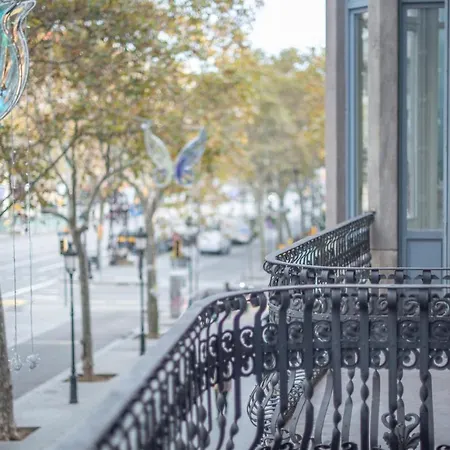 You Stylish Paseo De Gracia